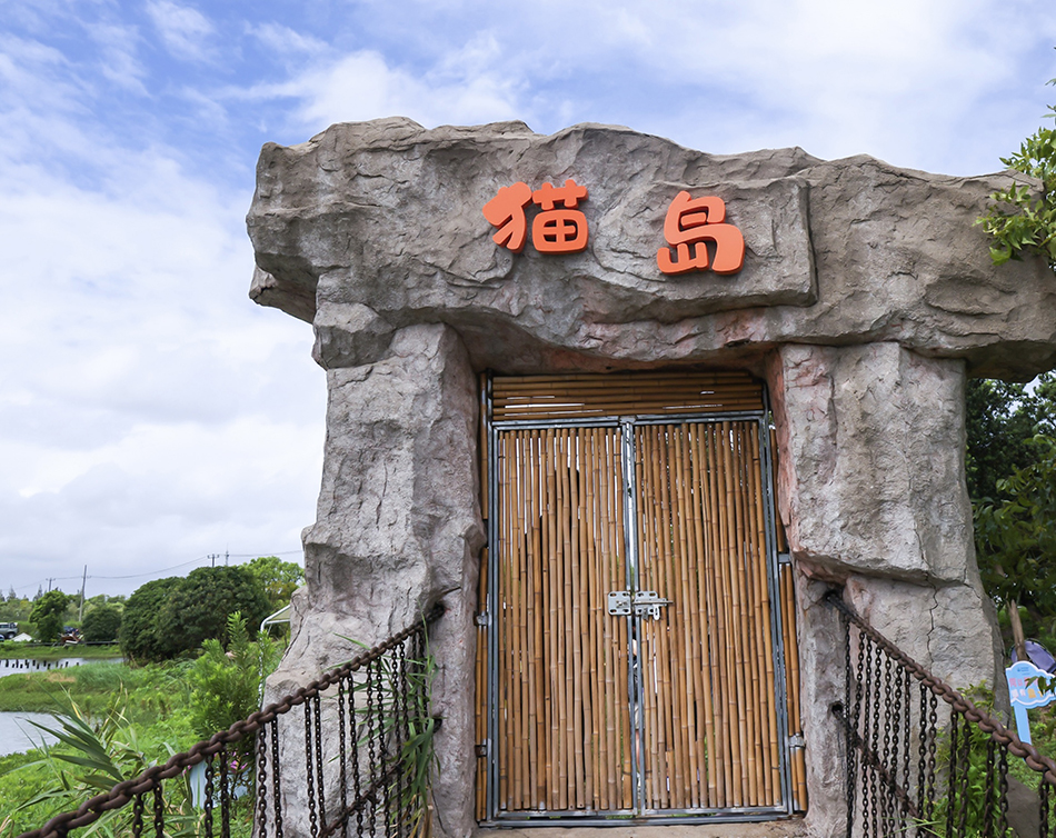 上海首个流浪猫管理中心,导盲犬基地成立,退役警犬开放领养 | 极目