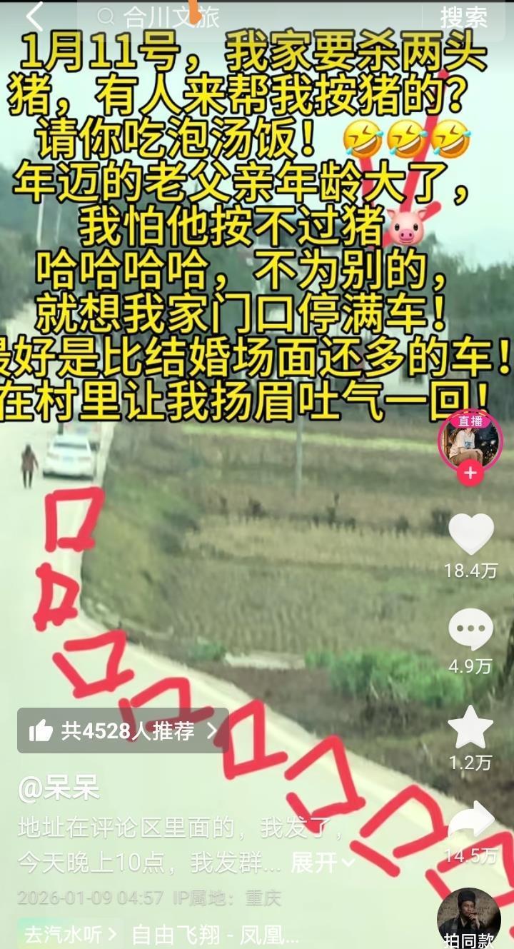 网友合力助女孩杀猪，盛况空前，主厨压力山大