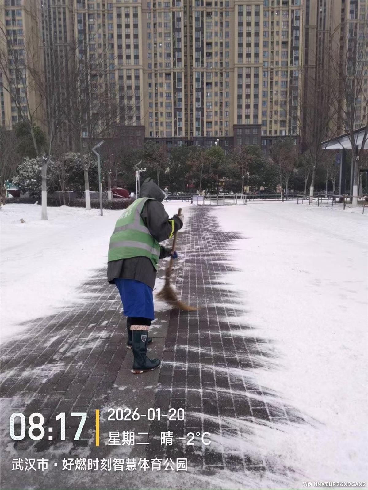 园林师傅扫出一条赏雪路.jpg