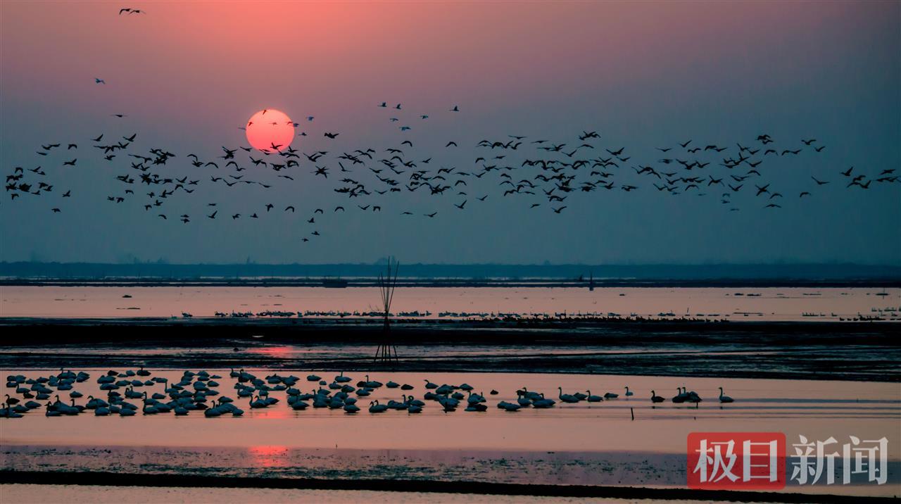 ba8e791e1274b9d14e6bd31904e45f93.jpg ba8e791e1274b9d14e6bd31904e45f93.jpg