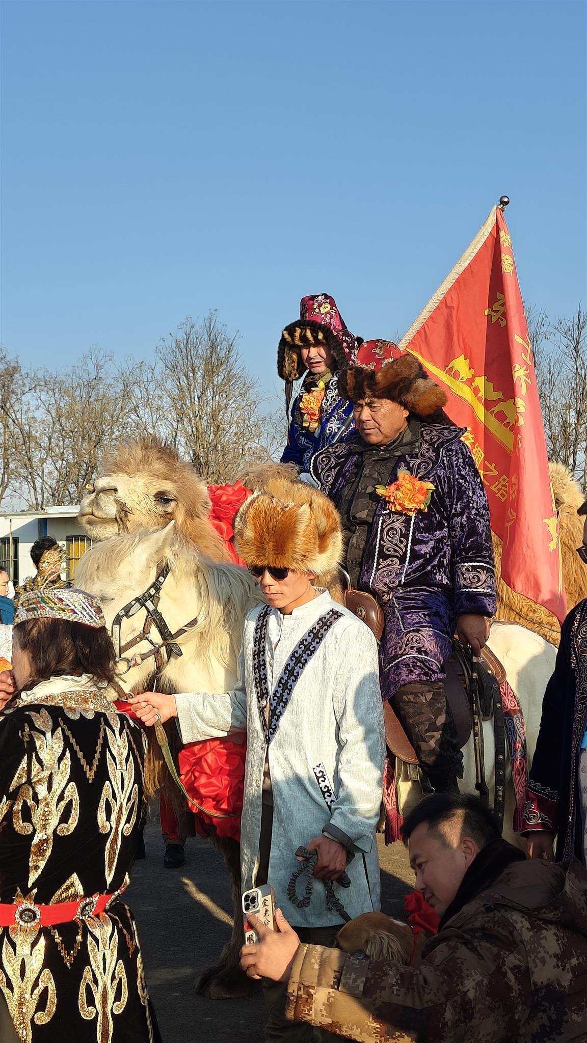 新疆骆驼队洛阳献驼奶获赠美酒,领队透露骆驼将留驻沿途城市——跨界友谊见证标题