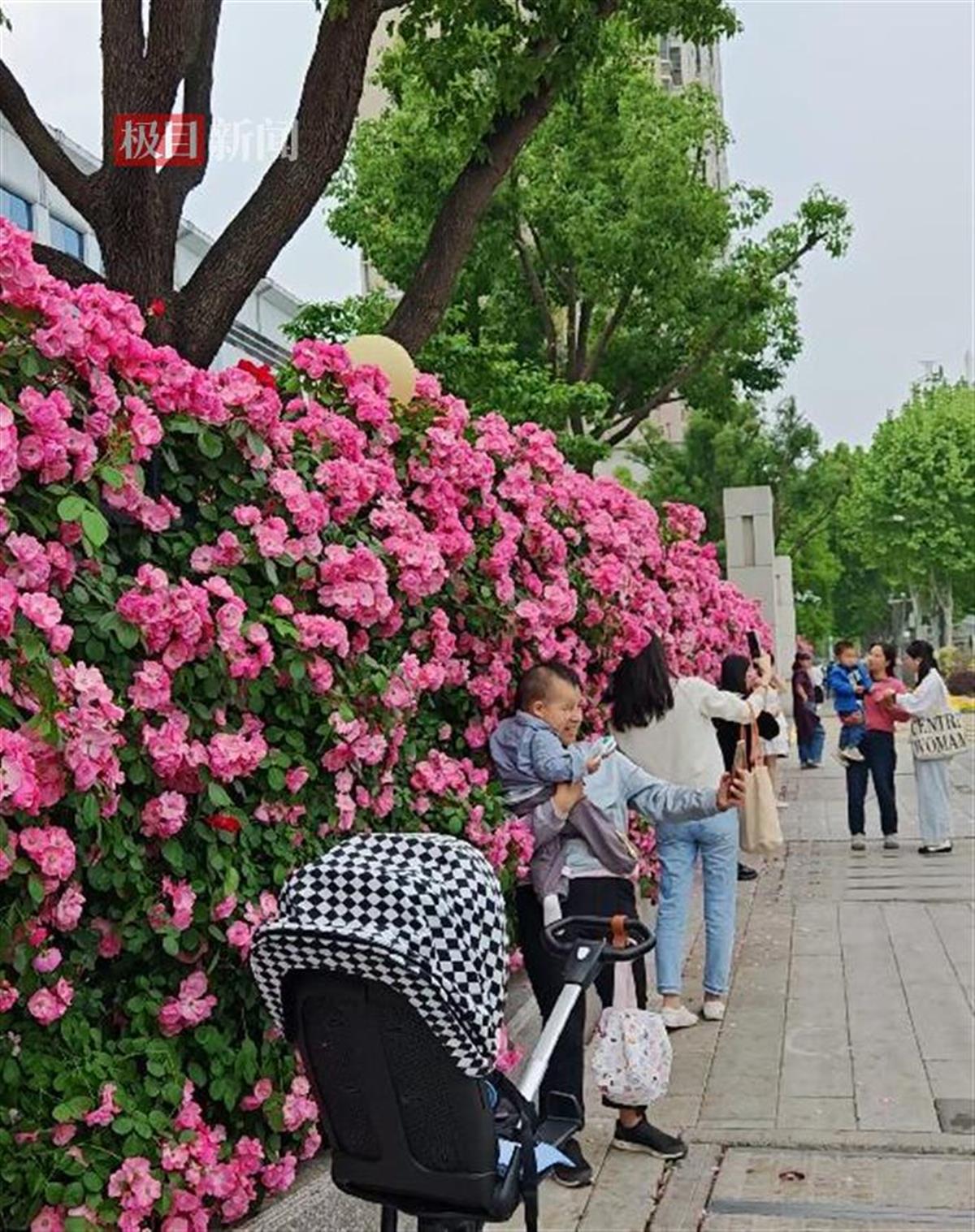 QQ截图20250422191052.jpg
