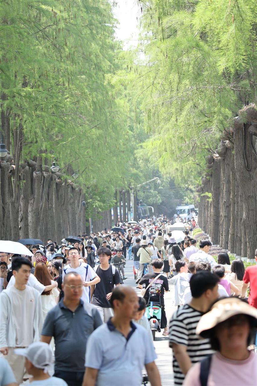 微信图片_20250625085647.jpg 微信图片_20250625085647.jpg