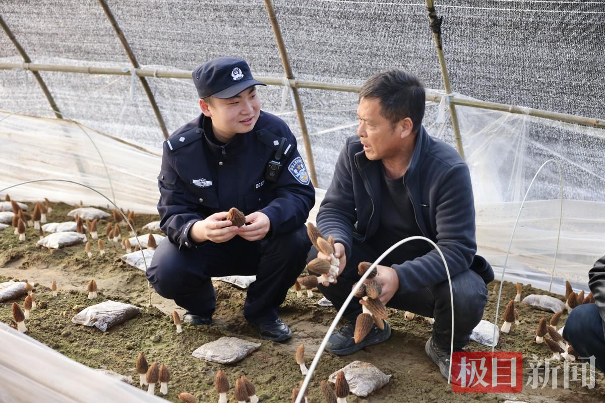 图二 民警在羊肚菌种植基地巡逻走访.jpg
