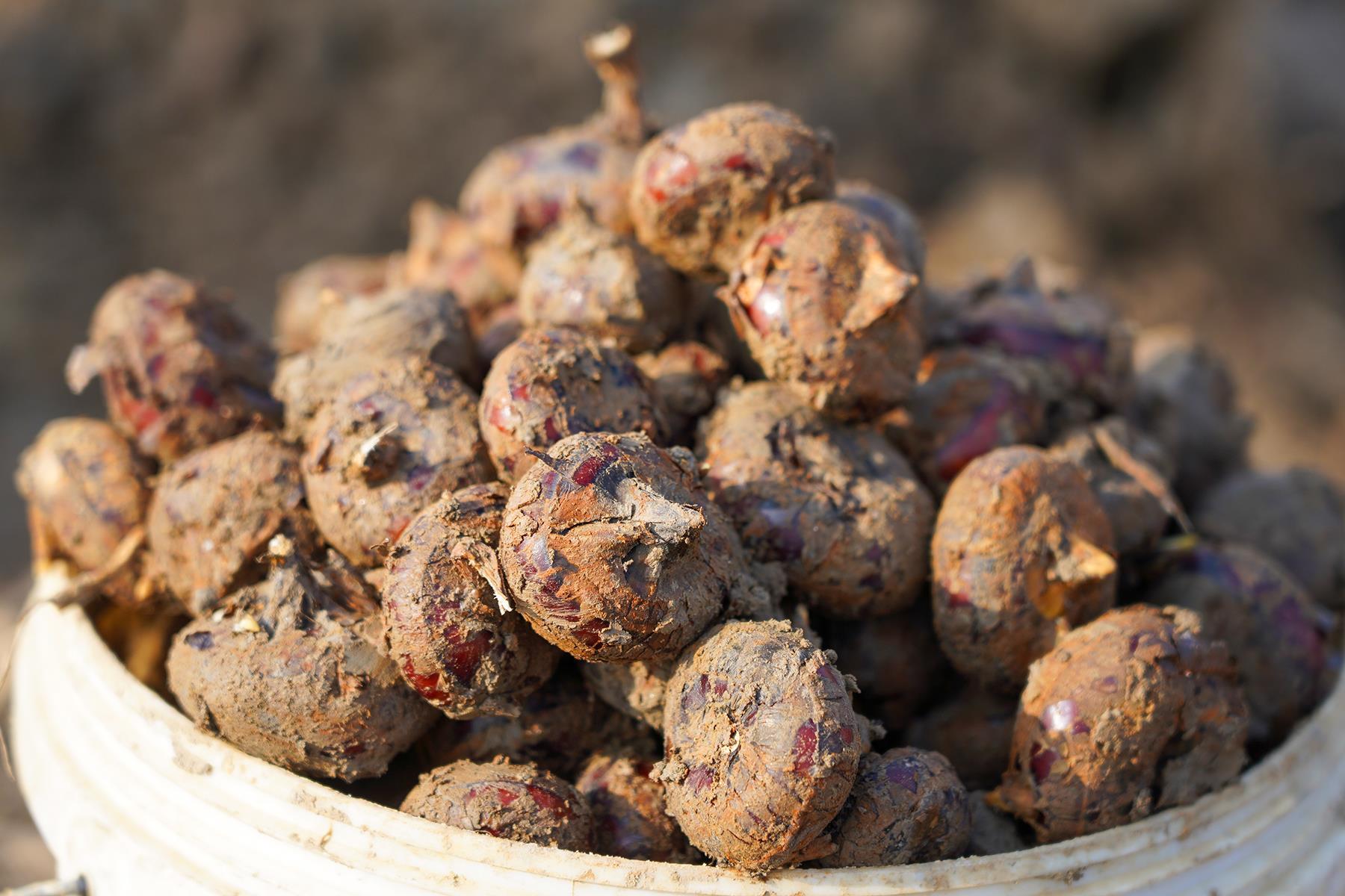 微信图片_20260116151705_62_1250.jpg 微信图片_20260116151705_62_1250.jpg