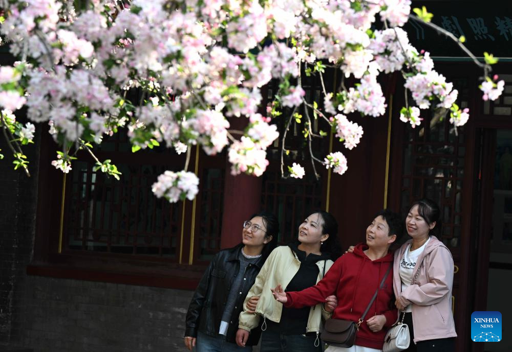 Spring scenery across China | 极目新闻