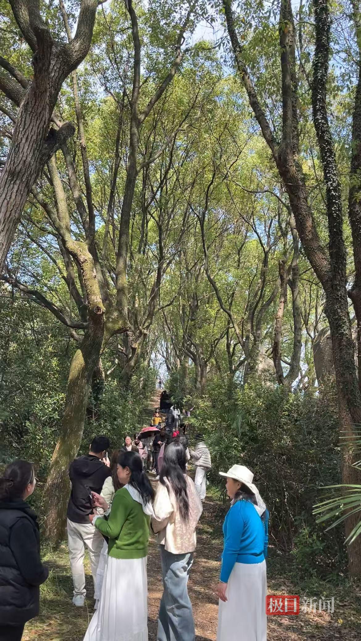 23554482d3422a7ebbfea9b6eb79dcf6.jpg 23554482d3422a7ebbfea9b6eb79dcf6.jpg