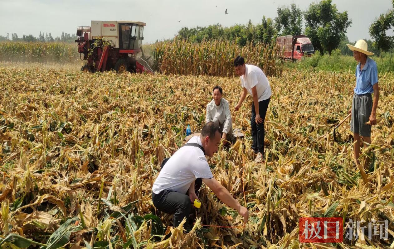 图片1.png 图片1.png