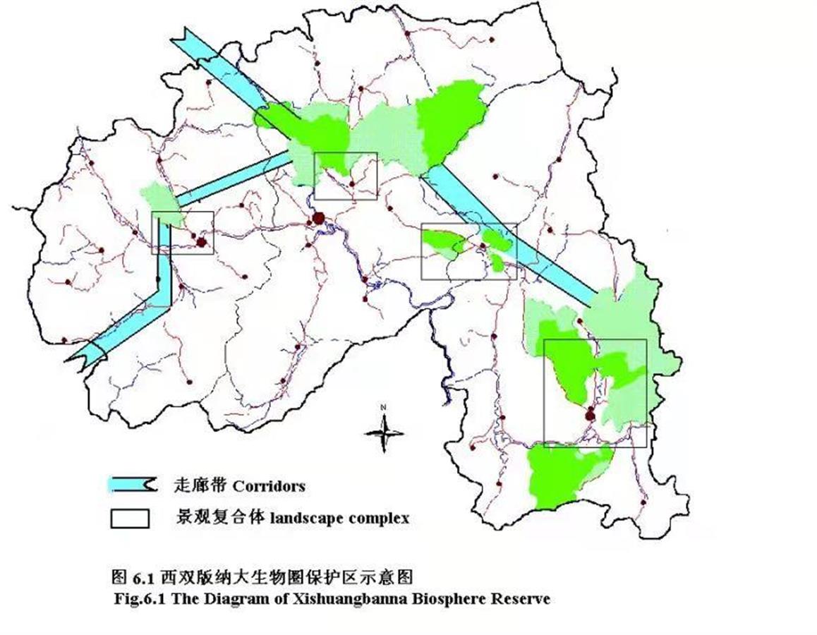 亚洲象国家公园规划图片