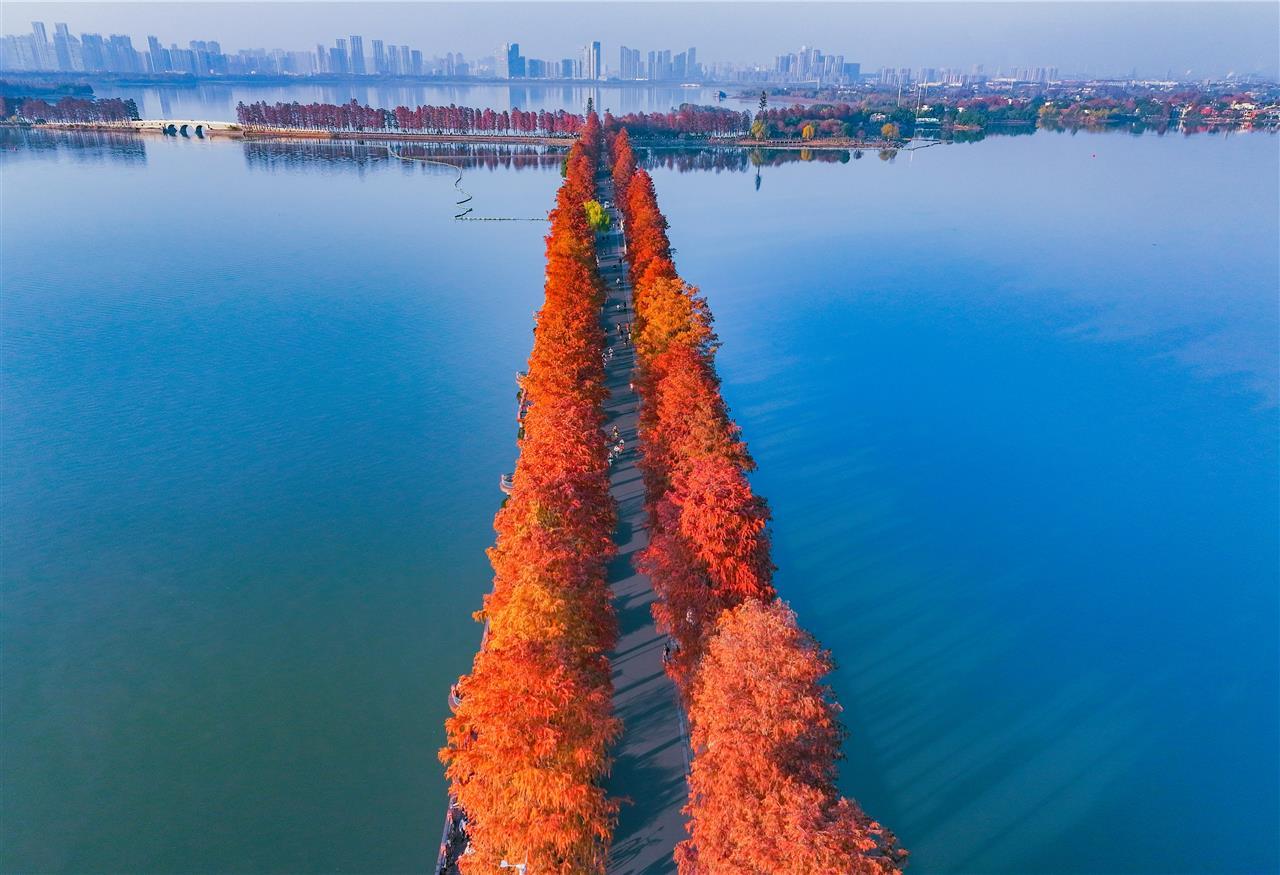 a235e0a93f454e6d19aa4c181489234f.png a235e0a93f454e6d19aa4c181489234f.png