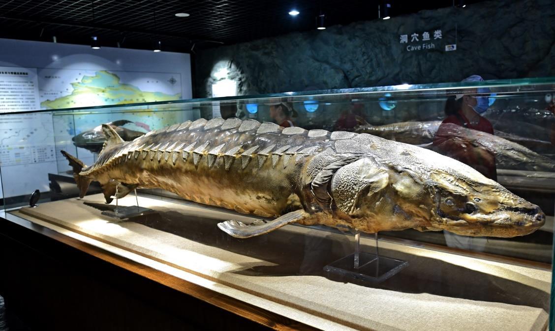 图片3.png 图片3.png