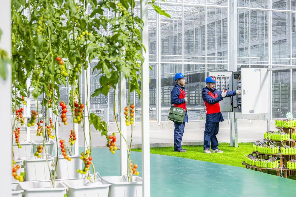 微信图片_20260311151138_135_1.jpg 微信图片_20260311151138_135_1.jpg