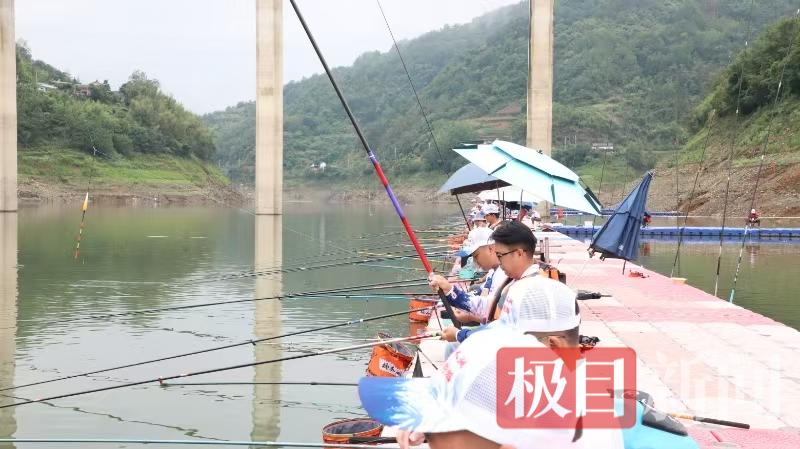 不养网箱鱼,专“钓”远方客 竹溪新洲镇“变水