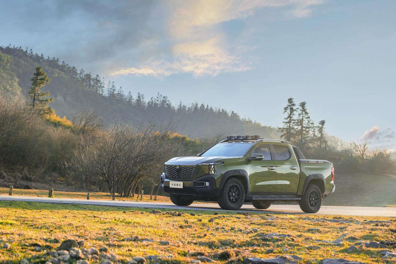 图片13.png 图片13.png