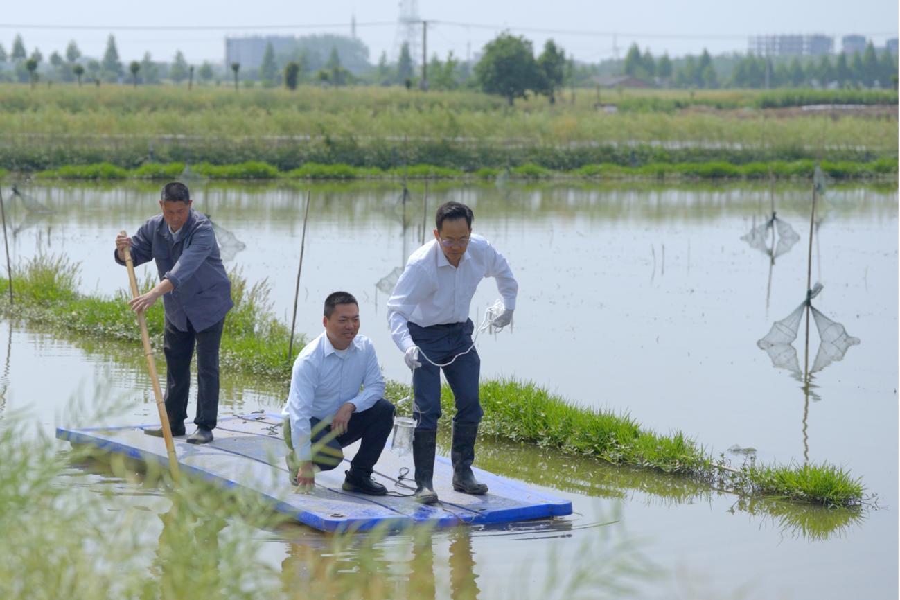 肥肥虾庄养殖基地，采购负责人和养殖专家进行现场水质采样研究.png