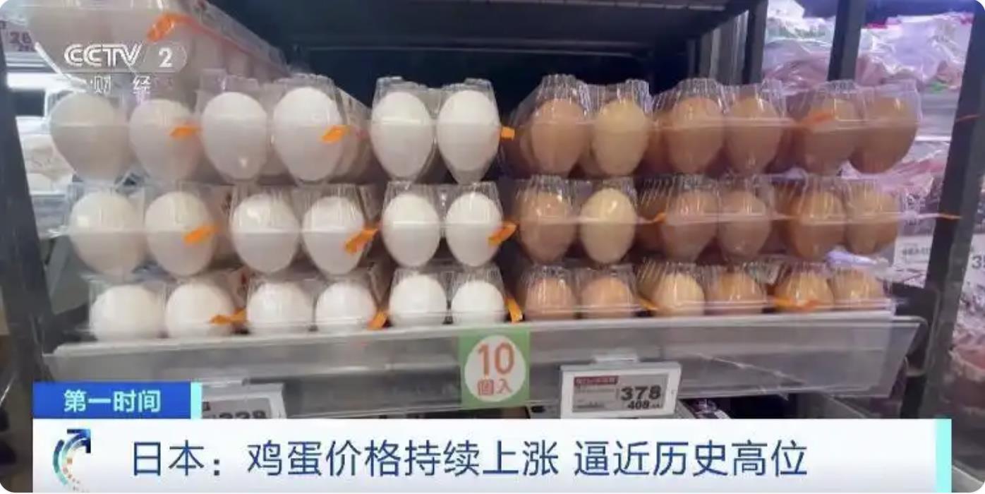 截屏2025-12-28 14.51.52.png