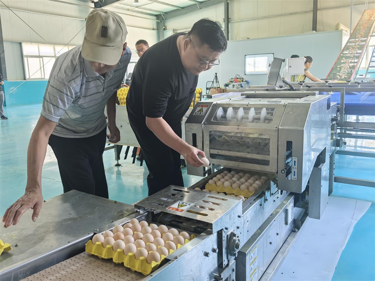 微信图片_20250717170705.jpg 微信图片_20250717170705.jpg