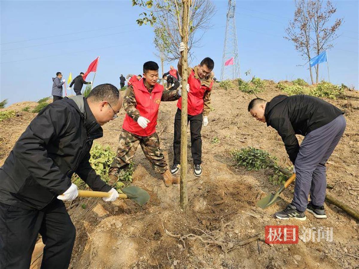 图片5.png 图片5.png