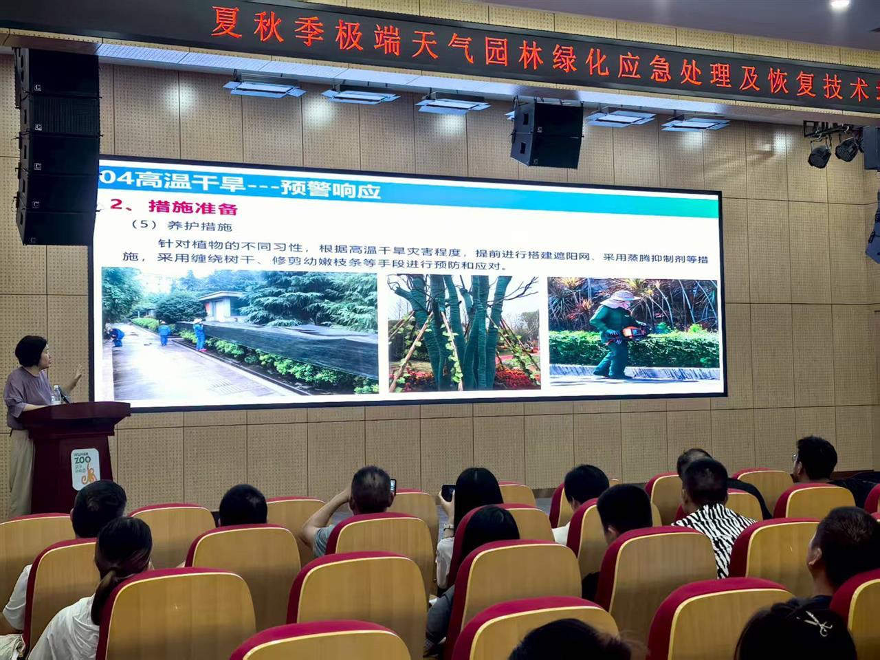 1、武汉园林专家现场开讲夏秋季植物应对策略.jpg
