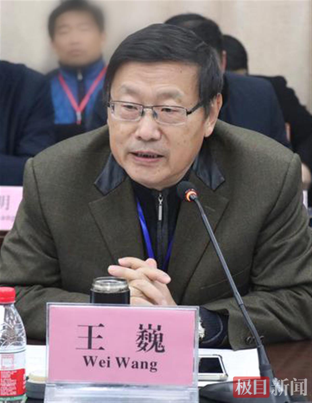 楚国故地谈古论荆楚，专家学者为楚文化创造性转化和创新性发展支招 | 极目新闻