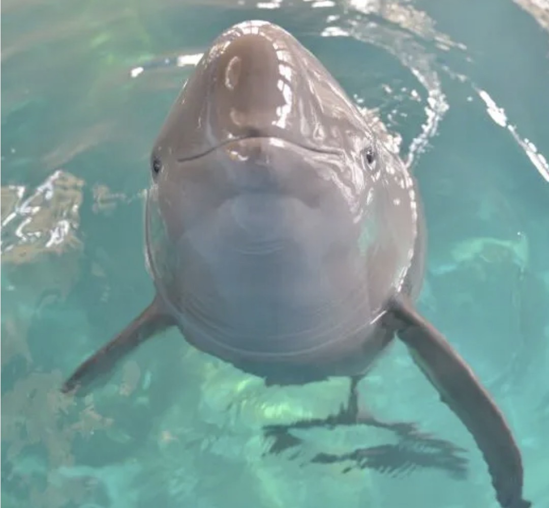 IMG_1477(20260408-190930).jpg IMG_1477(20260408-190930).jpg