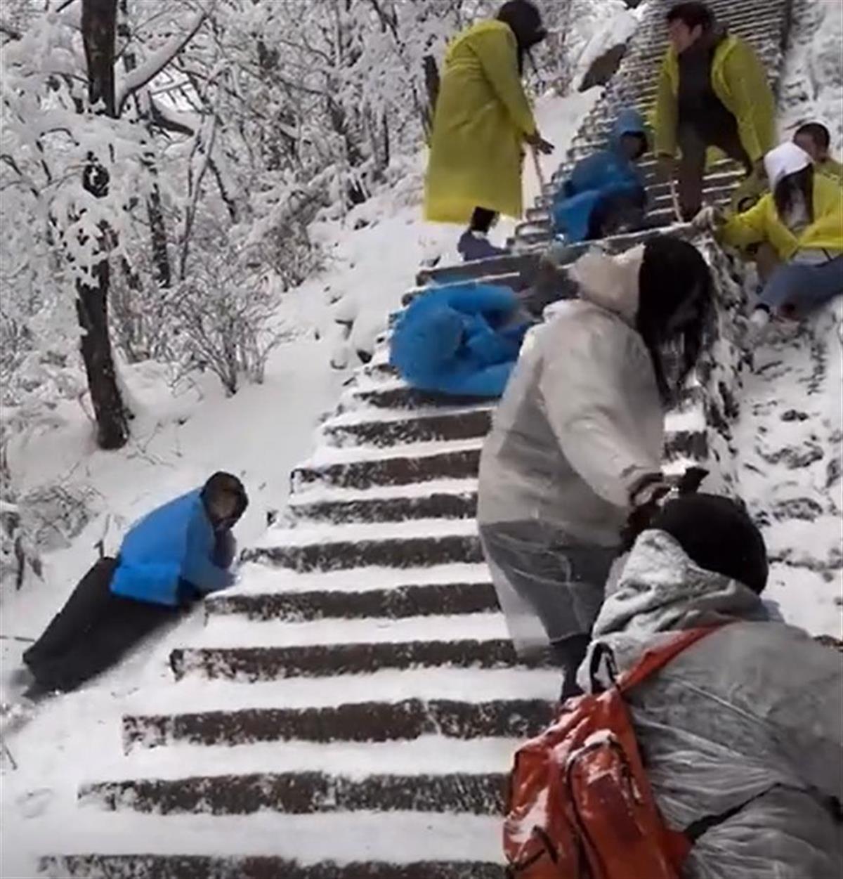 多位游客滑倒 来自网络.png