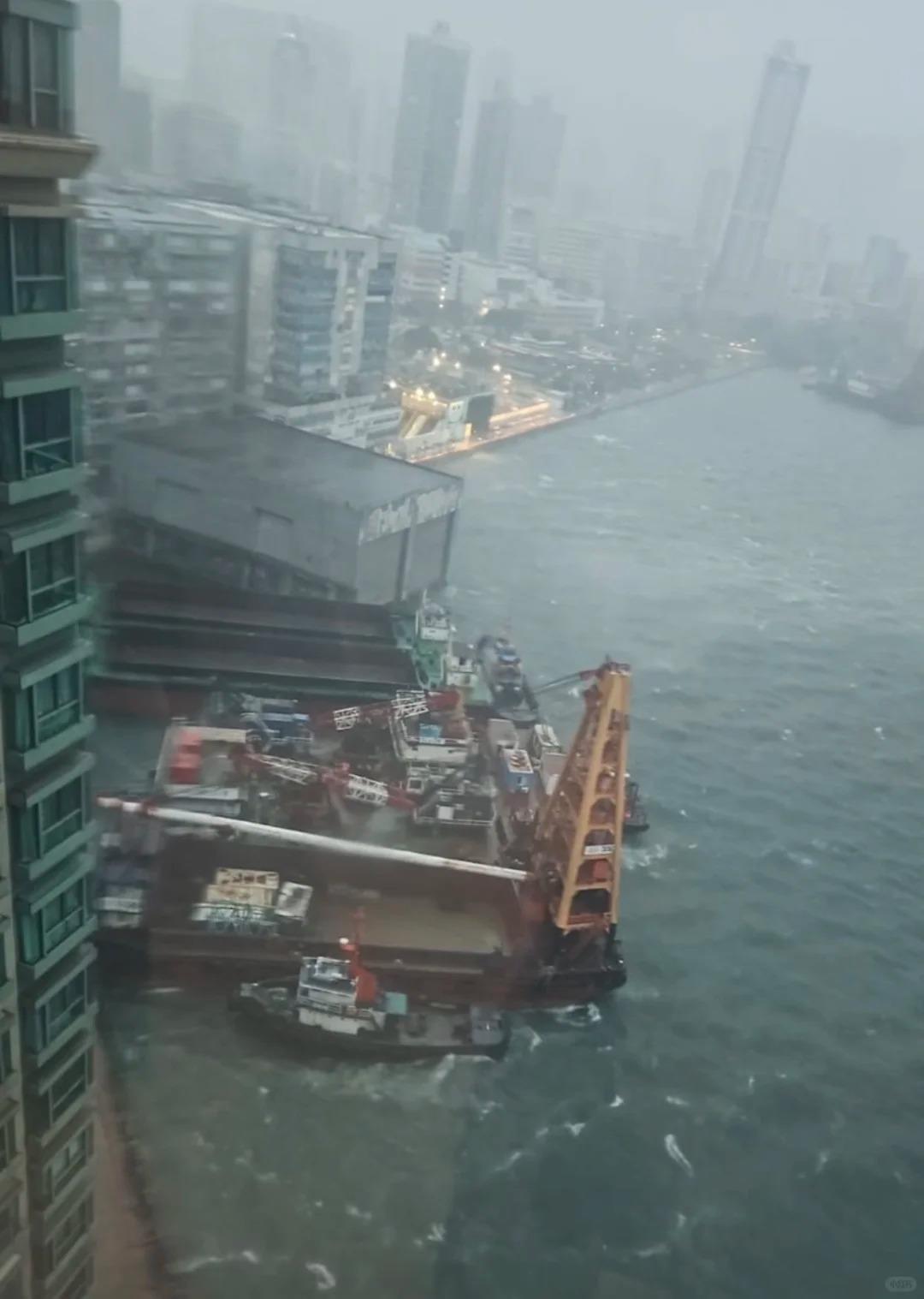 🇭🇰有沒有海逸xx黃埔xx的邻居?船撞上岸了_1_ABC_来自小红书网页版.jpg 🇭🇰有沒有海逸xx黃埔xx的邻居?船撞上岸了_1_ABC_来自小红书网页版.jpg