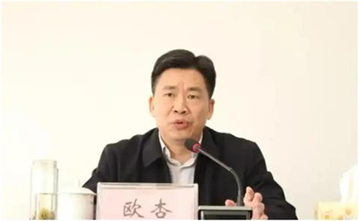 欧杏.png