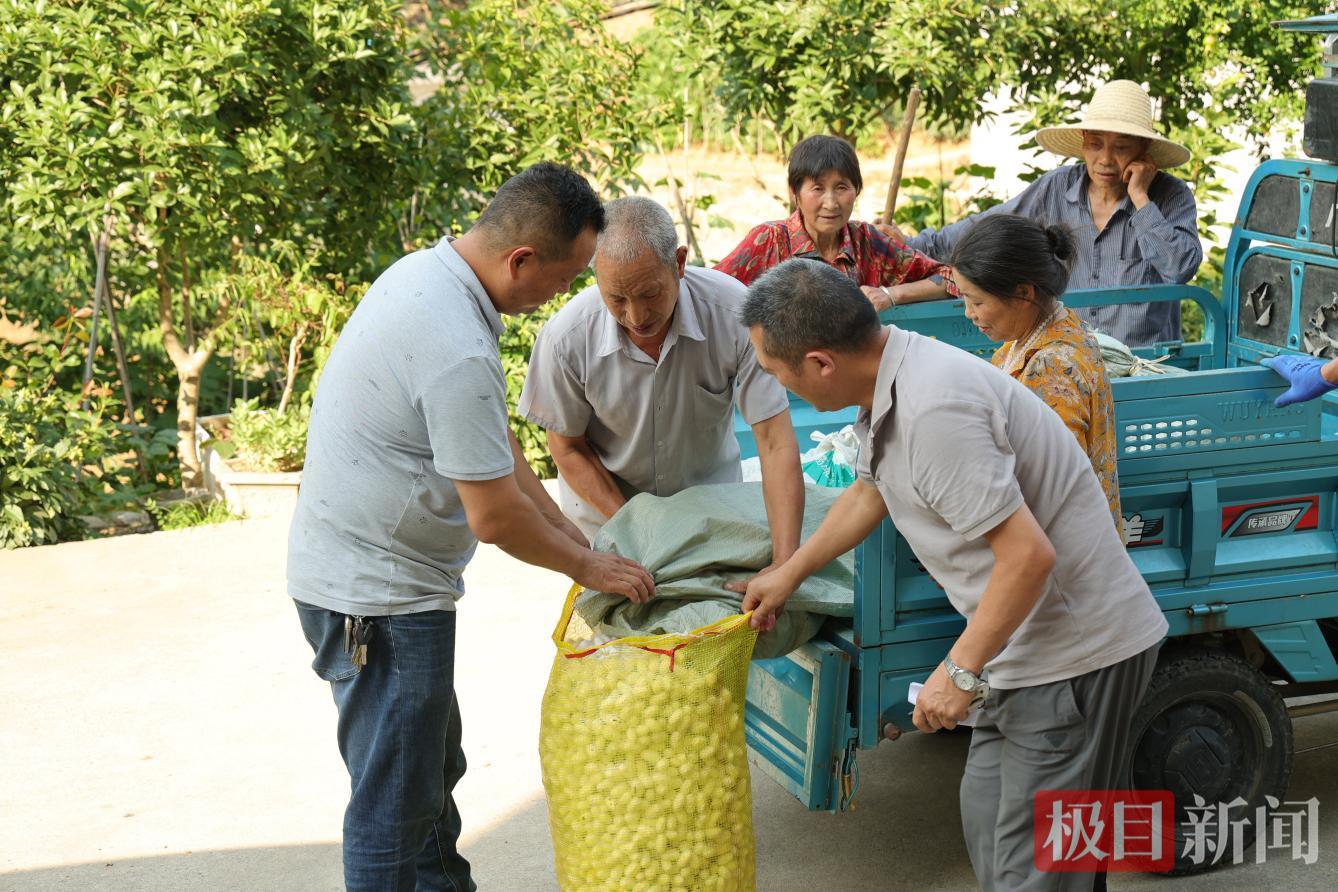 六郎.png 六郎.png