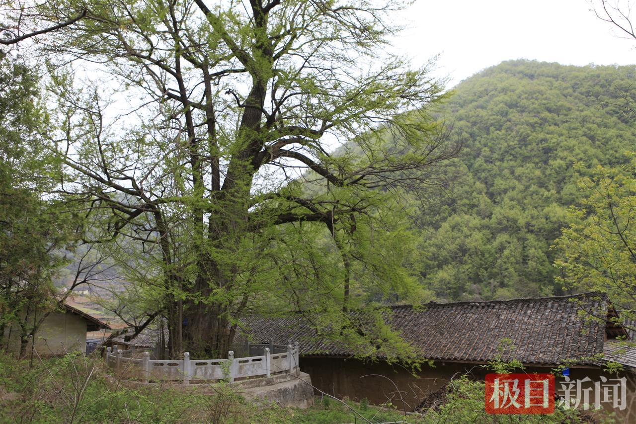 五龙河2.png