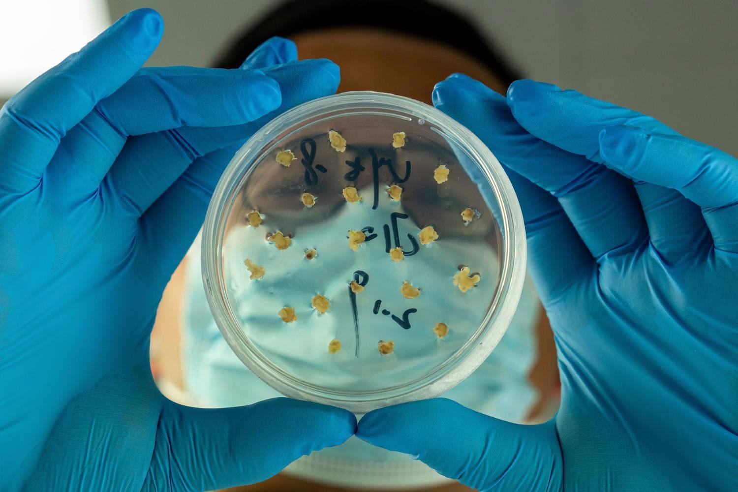 陈国兴《镜鉴粮芯 》组照 (1).jpg