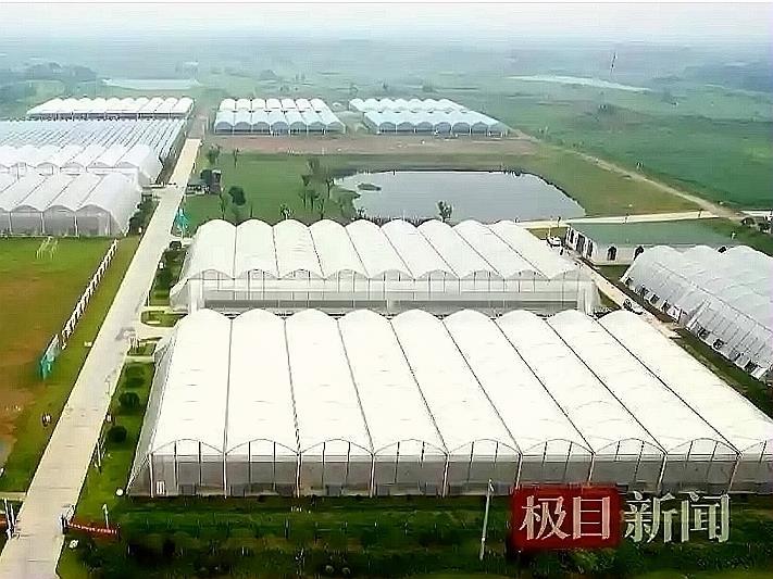 “番茄公社”数字农场获省级零碳农业园区认证背后有“田小二”撑腰(图2)