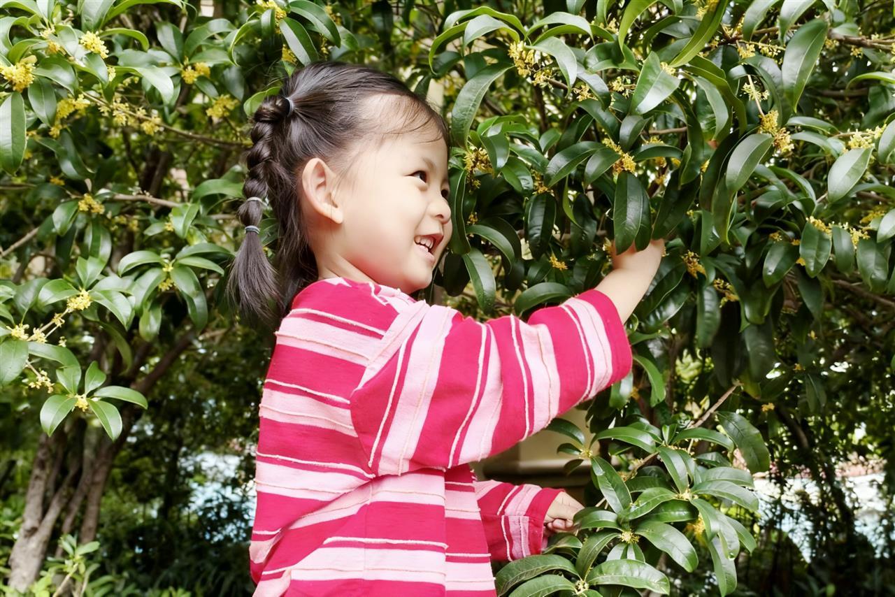 图片3.png 图片3.png