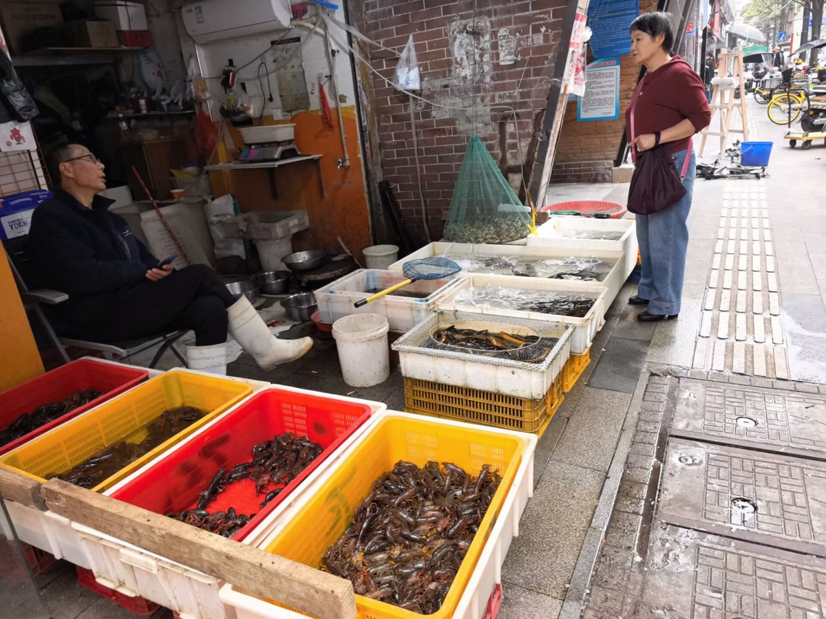 09D2D9C6A92BA7C4A357A762FB686FF9.jpg 09D2D9C6A92BA7C4A357A762FB686FF9.jpg