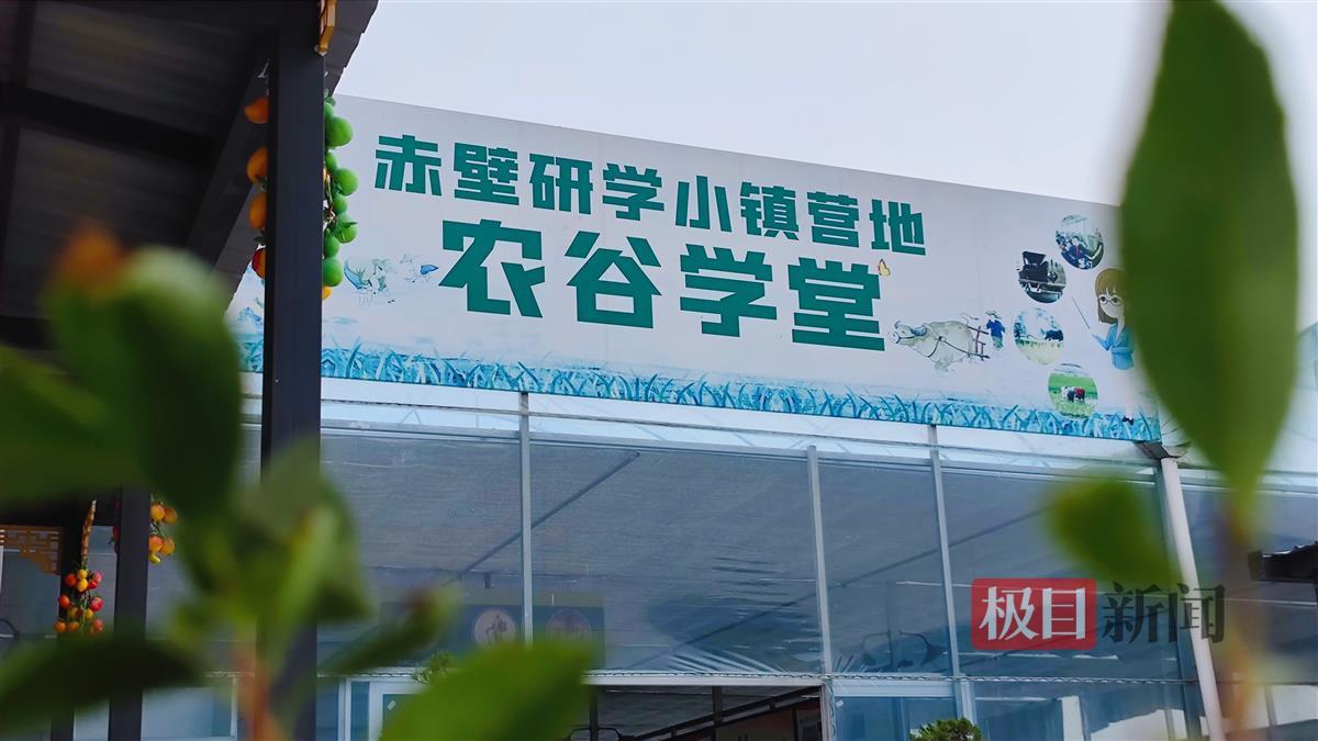 全新落成的赤壁研学小镇营地农谷学堂劳动可贵,学以成人.