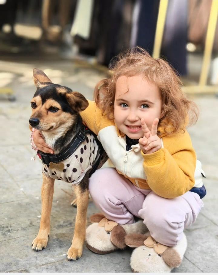 df785c5fc86265c506b42b1b0c5185eb.jpeg df785c5fc86265c506b42b1b0c5185eb.jpeg