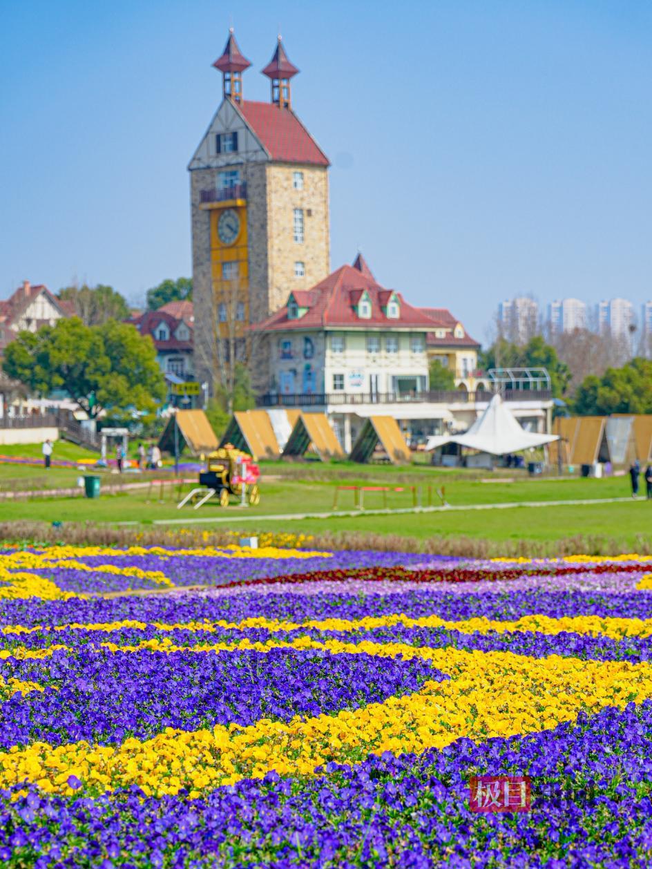 a79c33aa7608d6f3e88ee619d102732d.png a79c33aa7608d6f3e88ee619d102732d.png