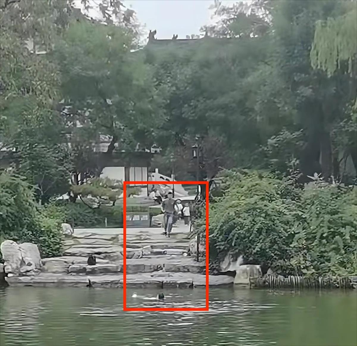 济南大明湖上演教科书式急救：小伙跃入湖中仅用1分钟救起落水者