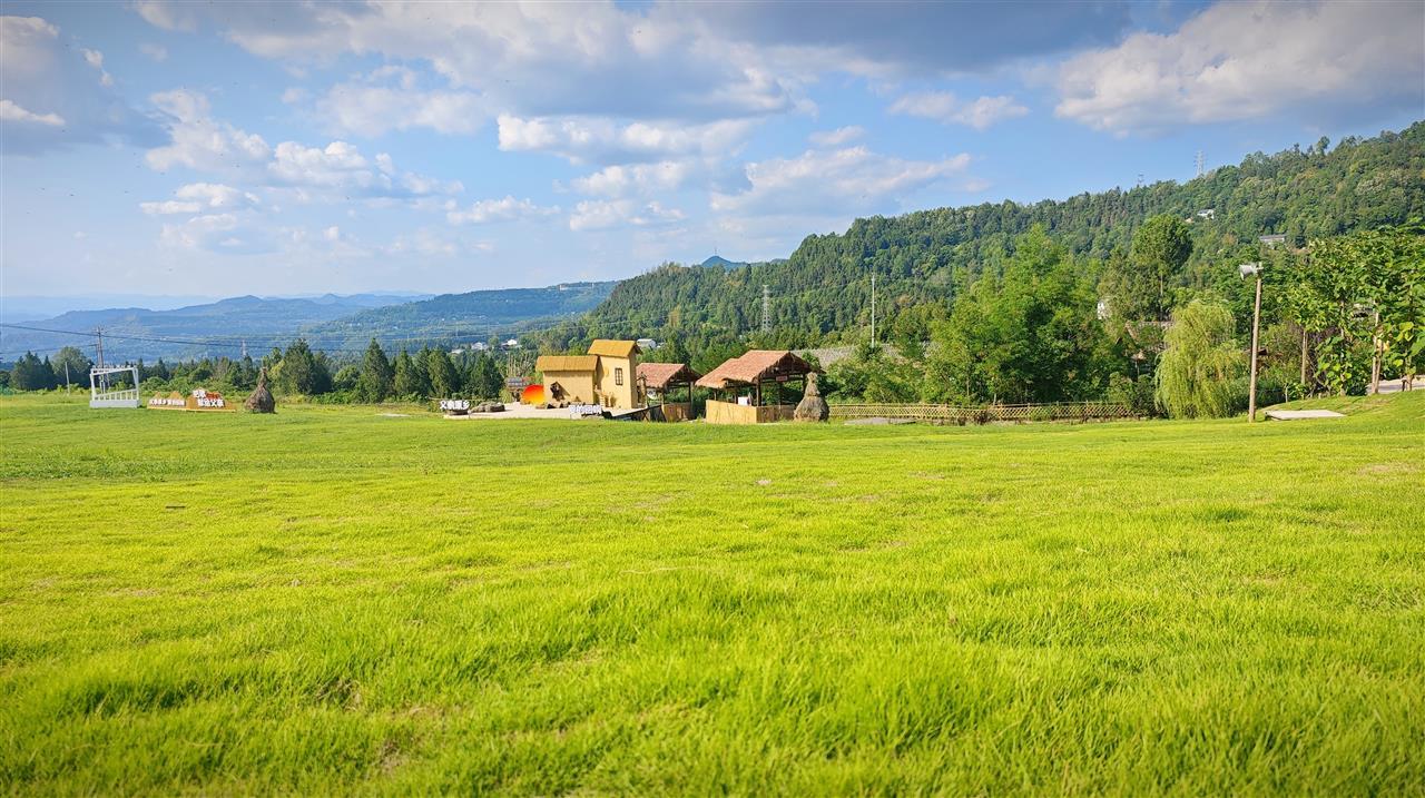 IMG_20250626_231013.jpg IMG_20250626_231013.jpg