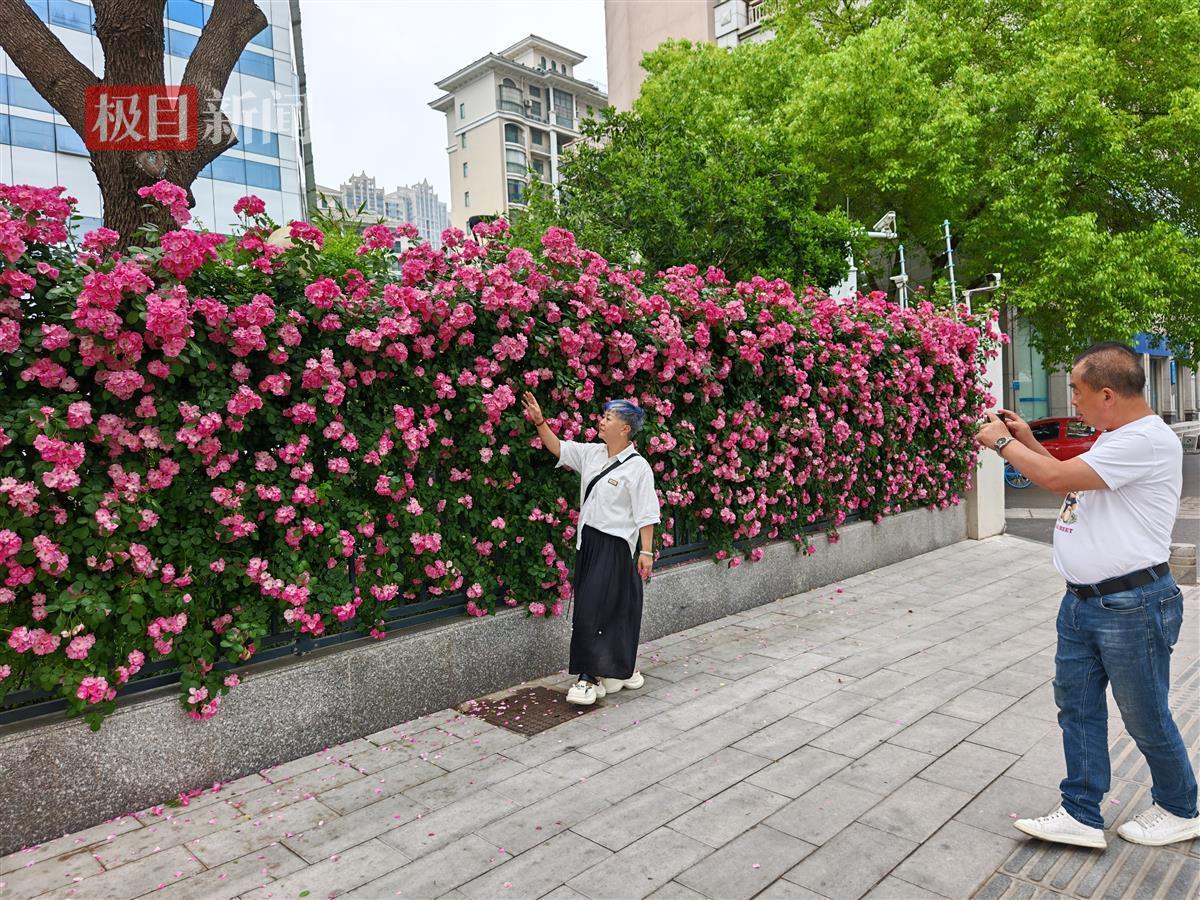 微信图片_20250422185624.jpg