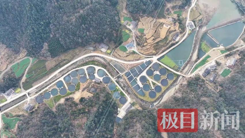 图片6.png 图片6.png