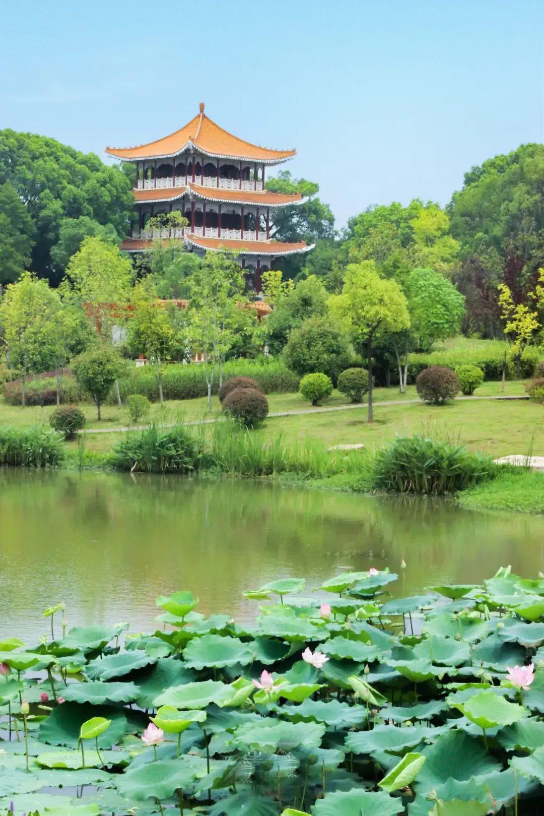 4.白玉公园.jpg