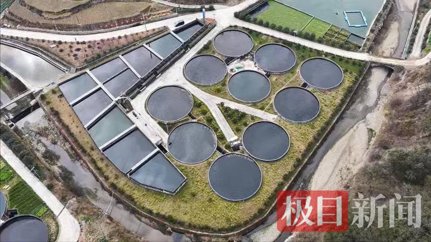 图片7.png 图片7.png