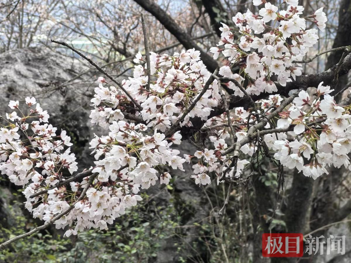 0DD44298645F3330BFFECAC64B8C7DF2.jpg 0DD44298645F3330BFFECAC64B8C7DF2.jpg