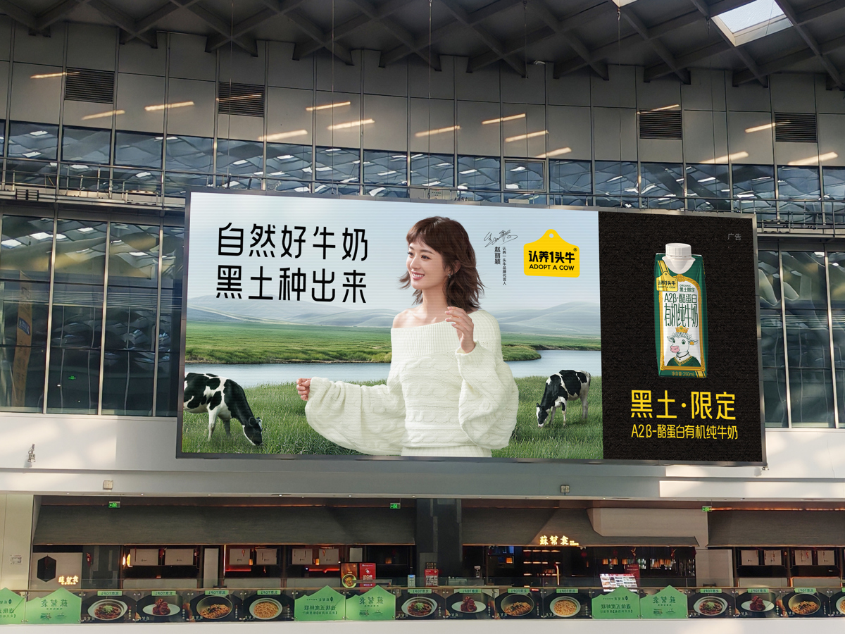 认养一头牛品牌代言人赵丽颖.jpg