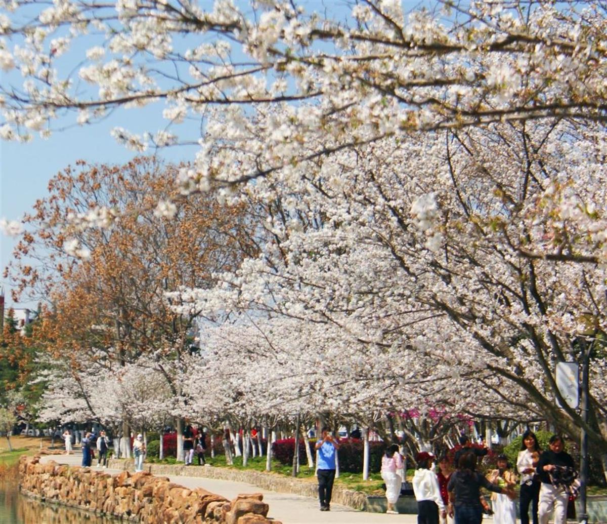 微信图片_20250327165651.jpg 微信图片_20250327165651.jpg