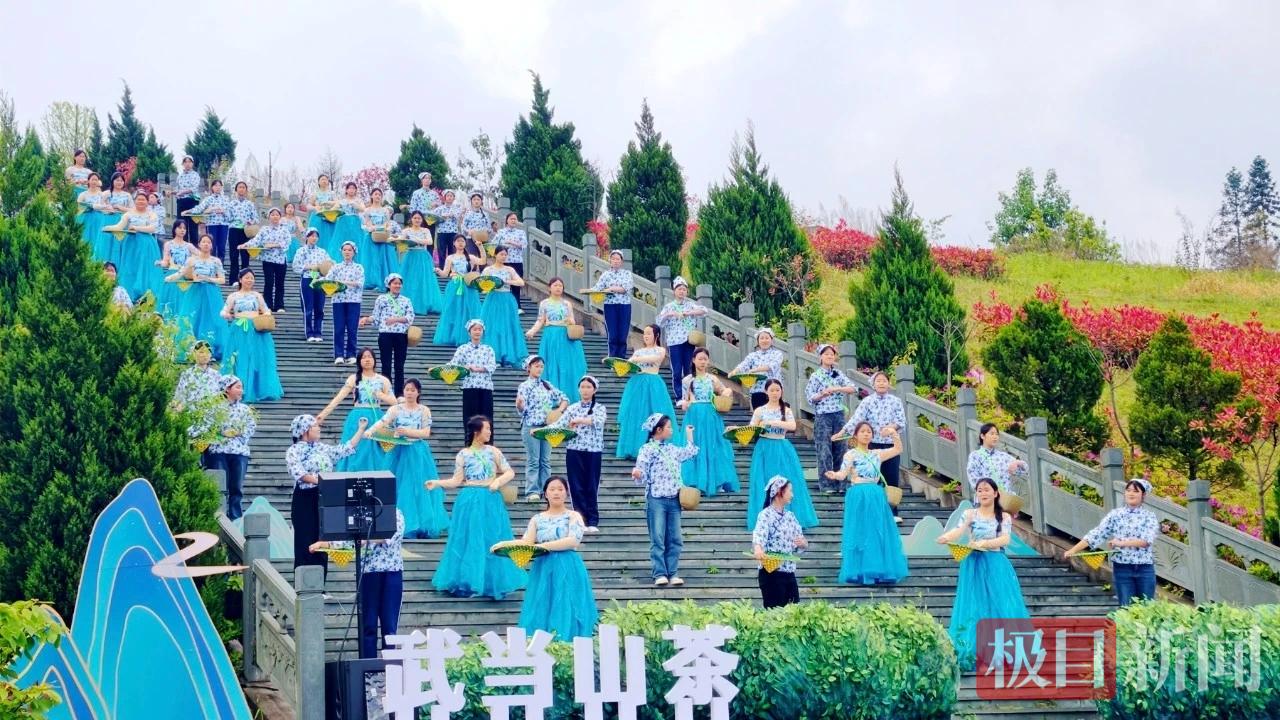 茶旅1.jpg