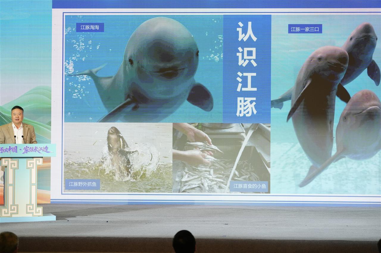 lh25102708.jpg lh25102708.jpg