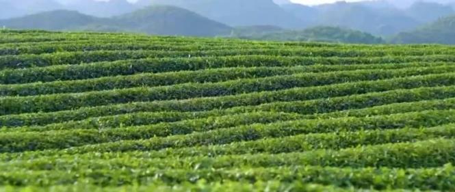 QQ20250828-100453.jpg QQ20250828-100453.jpg