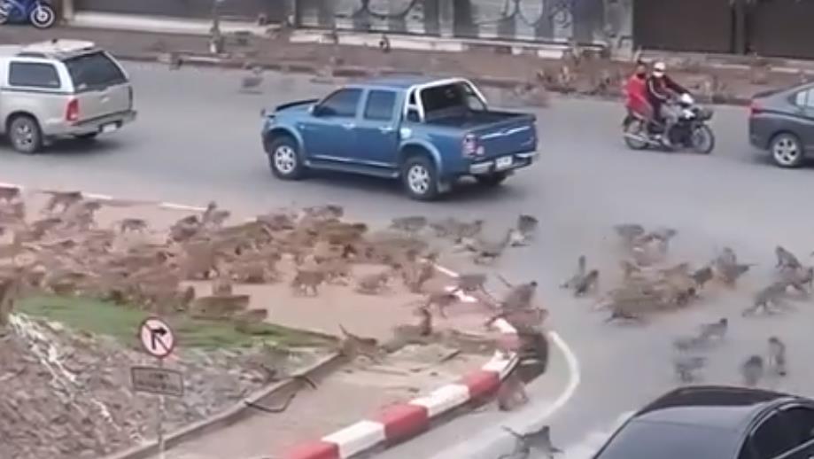 BD2BC03BB1F551411E493A8BDFBEA3D8.png BD2BC03BB1F551411E493A8BDFBEA3D8.png